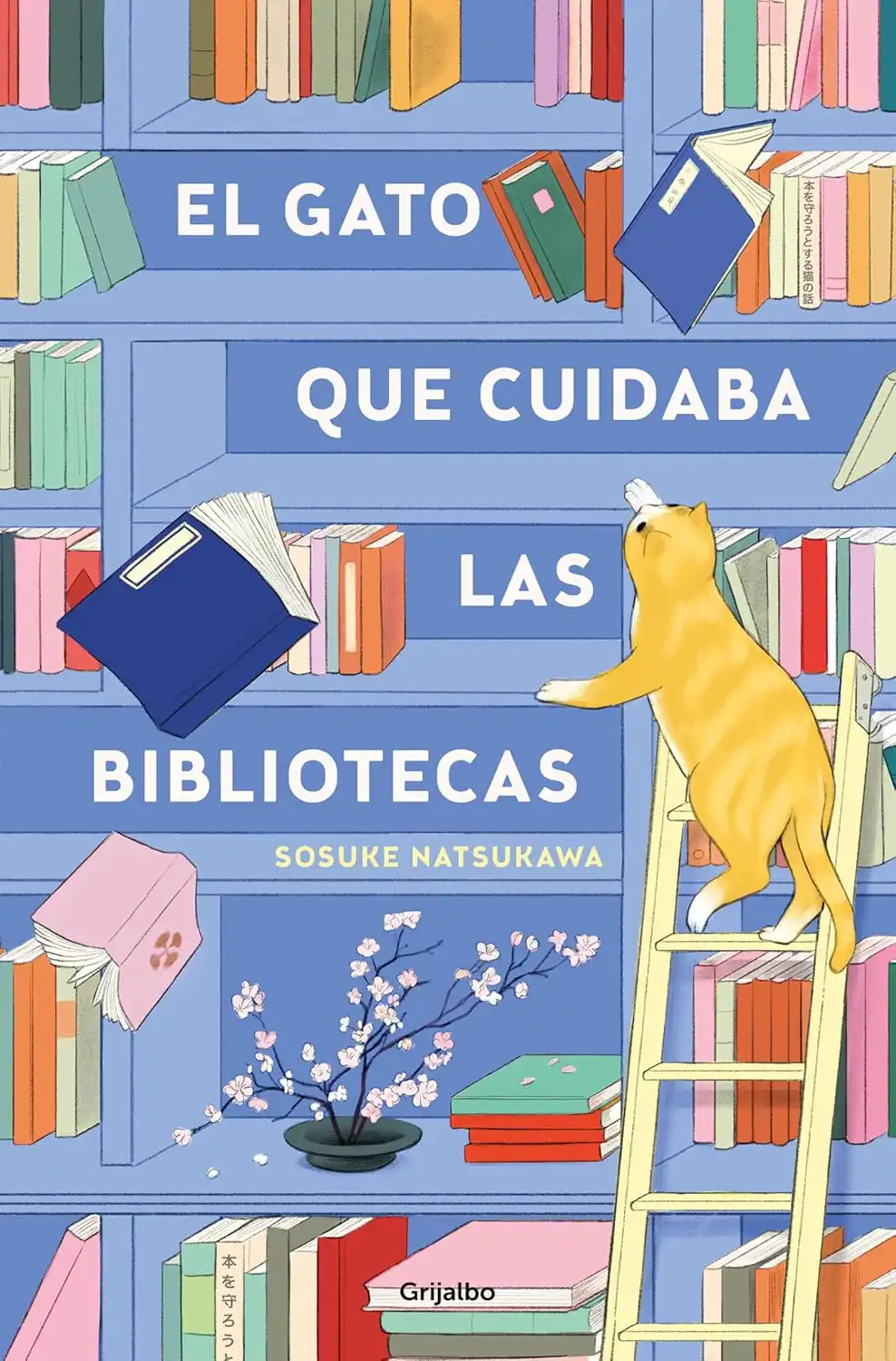 El gato que cuidaba las bibliotecas